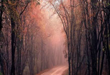 探索天涯论坛情感社区——那些温暖的瞬间