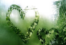 探索天涯论坛的云水谣旅游妙趣天。